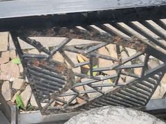 -猫的天空之城概念书店(苏州平江店)