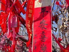 -帽儿山风景区