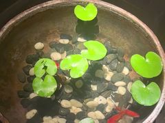 -曲水兰亭(北京四惠店)