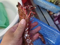 -板桥海鲜广场(文明东店)