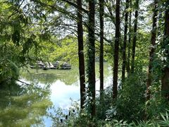 -西溪国家湿地公园