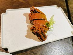 -青叶202都市餐厅(迪诺水镇店)