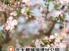 -元大都城垣遗址公园