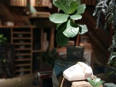 -时光花园(白鹭洲店)