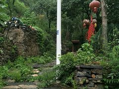 -南窖乡水峪村山情农家