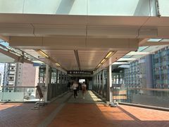 -香港大学