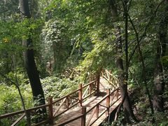 -大岭沟猕猴桃谷风景区