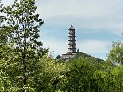 -北坞公园