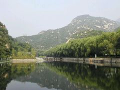 -Local泰莲庭(虹鳟鱼店)