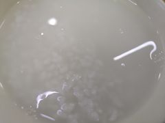 -长平肥姐白粥·海鲜打冷
