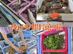 -大湾区中央湿地公园-十九涌