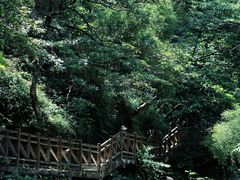 -明月山风景名胜区