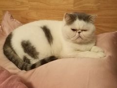 -TPLUS茶家(淮海店)