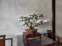 -拙政园