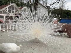 -金庭庄园酒店-停车场