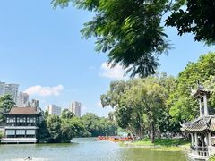 -荔湾湖公园