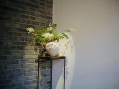 -曲廊院(东四十一条店)