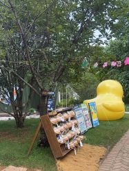 -Zoolung Zoolung动物主题公园(海信广场店)