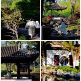 游宁波「景」令人流连忘返富有历史底蕴和人文景观的城市湖泊公园