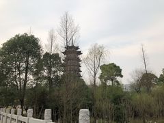 -洋湖国家湿地公园