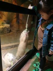 -酷嗒动物文化乐园(cutezoo西溪乐天城店)