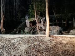 -清迈夜间动物园