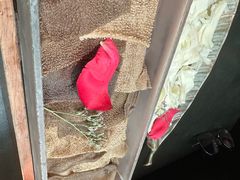 -芸山季·云南野生菌火锅(宝能环球汇店)