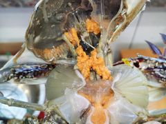梭子蟹-金海湾海鲜排档(朱家尖店)
