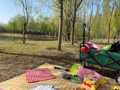 -东郊湿地公园