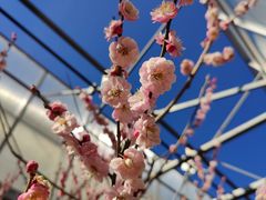 -北京鹫峰国家森林公园