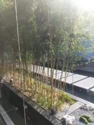 -爱儿美儿童摄影(朝阳公园店)