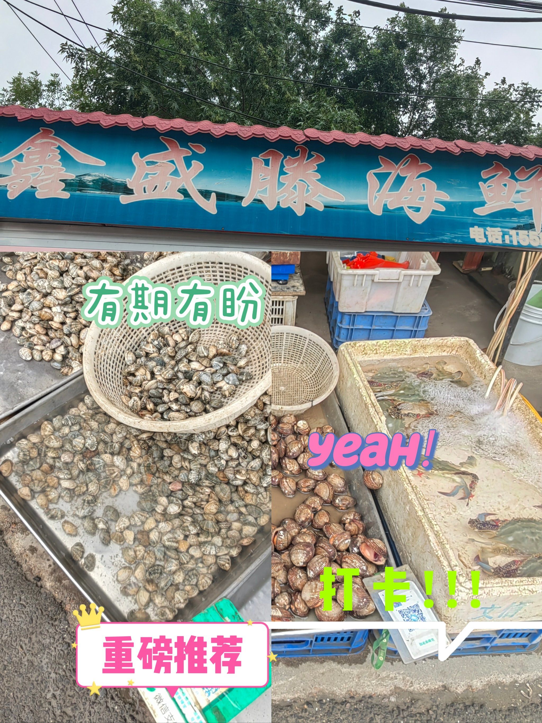 红岛湾口碑不错的海鲜店