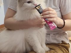 -暗楼·剧本杀·桌游