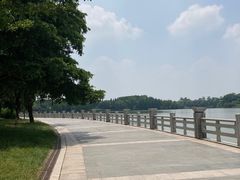 -海珠湖公园