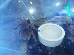 -上海昆虫博物馆