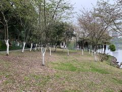 -沙市市中山公园
