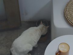 -卷耳咖啡