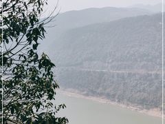 -铁山坪森林公园