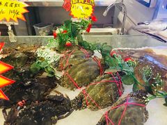 -渔娘渔家丹东海鲜(东直门店)