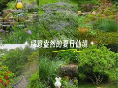 -云溪植物园