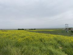 -扁都口生态休闲旅游区