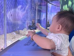 -欢乐海岸海洋奇梦馆
