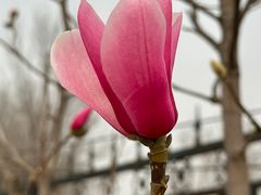 -鹫峰国家森林公园