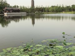 -西海子公园