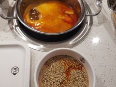 -龍歌自助小火锅(崂山丽达店)