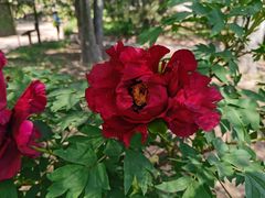 -国家植物园南园