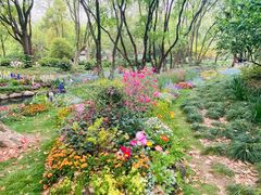 -上海共青森林公园