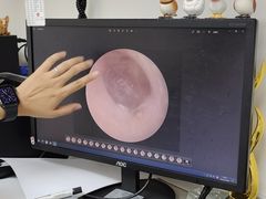 -美联众合动物医院·24h转诊中心