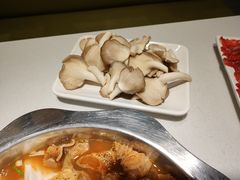 -古乐牛香·鲜牛肉牛杂火锅(吴江三里桥运东商业广场店)