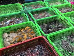 -众味海鲜大排档·活海鲜·潮汕味(南澳店)
